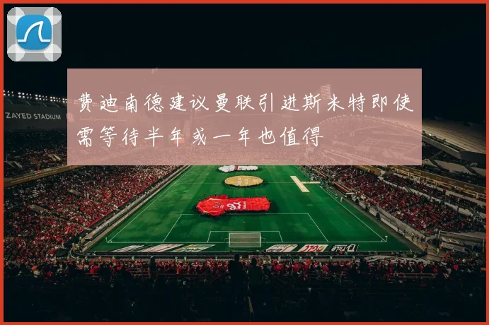 费迪南德建议曼联引进斯米特即使需等待半年或一年也值得